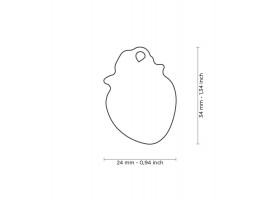 Chapa Identificativa Perro Food Fresa