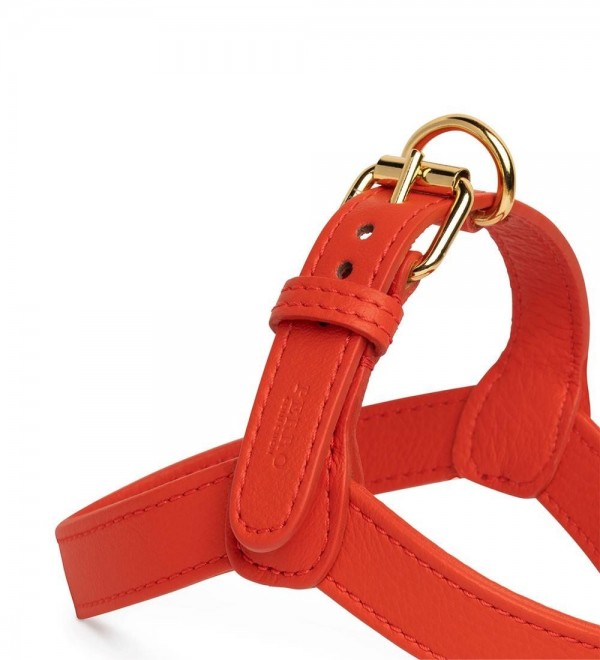 Leather Harness Fiamma