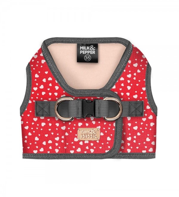 Small Dog Harness Sidonie