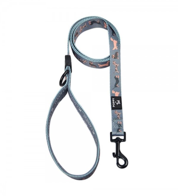 Leash Teckels