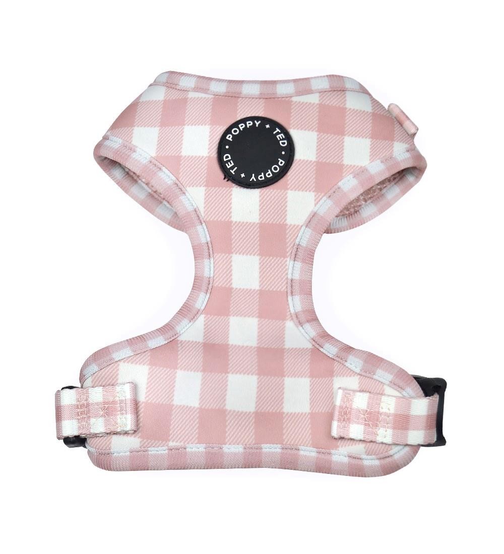 LDDP – Arnés Personalizado Para Perros Pequeños, 5 Unidades, Collar