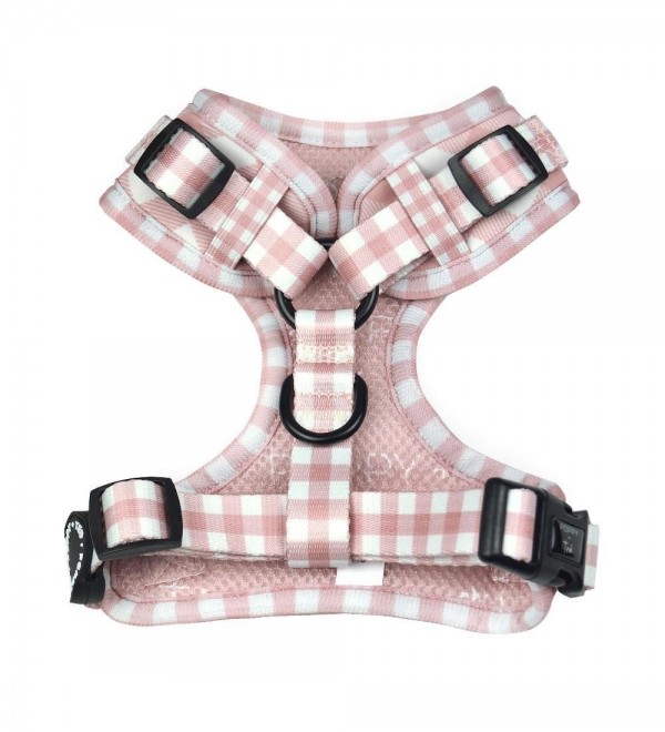 Arnés Perro Pequeño Pink Plaid