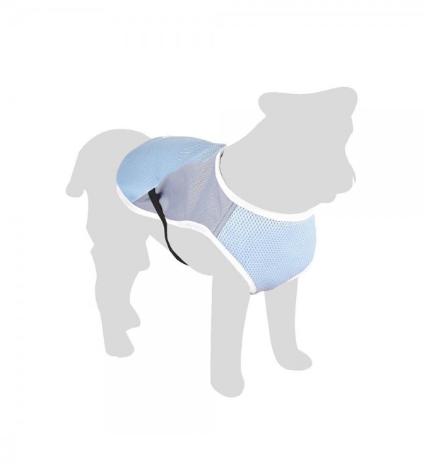 Refreshing Frozen Dog Coat