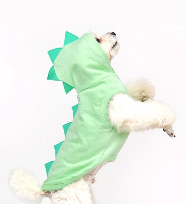 Dinosaur Dog Hoodie