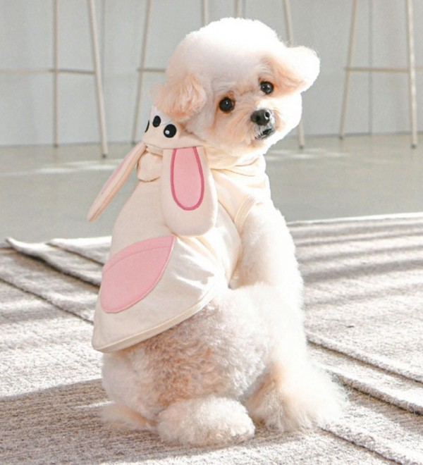 Animal dog hoodie