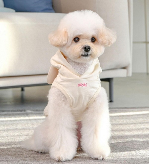 Animal dog hoodie