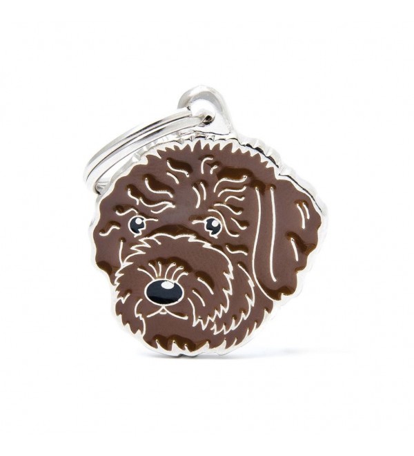 "Chapa Perro Friends Perro de Aguas" translates to "Dog Tag Friends Water Dog" in English.