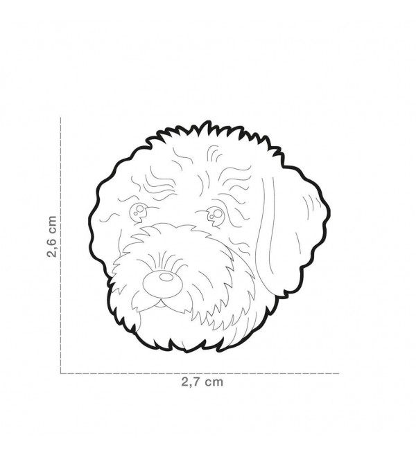 "Chapa Perro Friends Perro de Aguas" translates to "Dog Tag Friends Water Dog" in English.