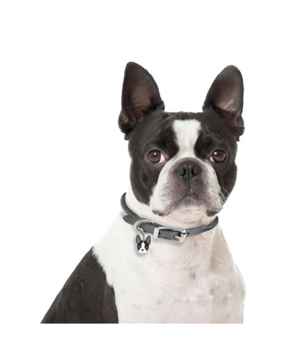 Boston Terrier Dog Tag Friends
