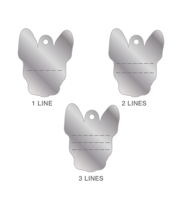 Chapa Perro Friends Boston Terrier