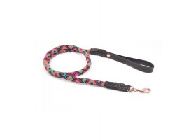 Collar for Round Balamil Dog