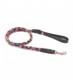 Collar for Round Balamil Dog