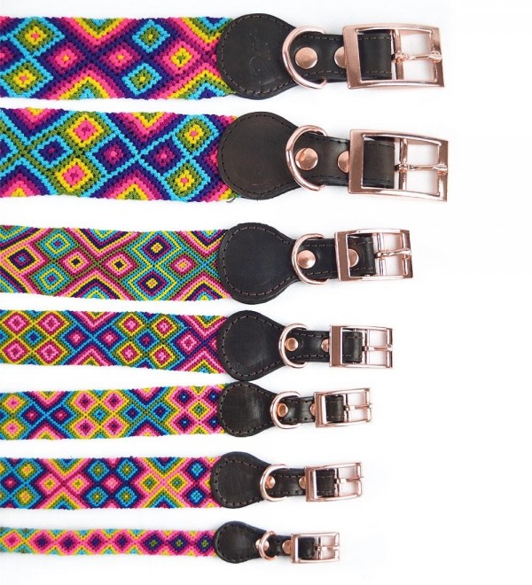Collar Perro Cuero Artesanal Nichim