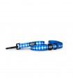 Collar Dog Vichy Blue