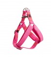 Pitaya Tropical Harness