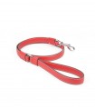 Strong Poppy Leash