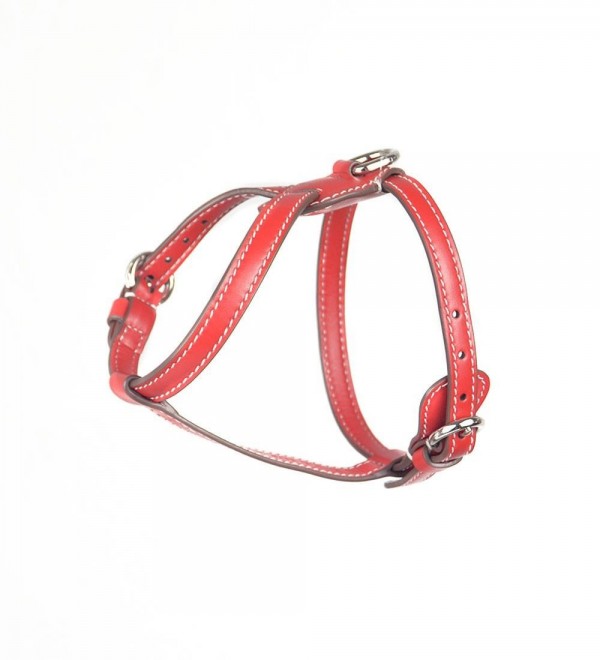Leather Dog Harness - Nuvola Amapola