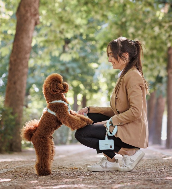 Arnés para Perro Tropical Açaí