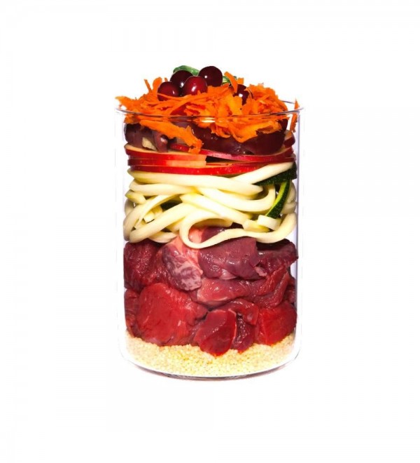 Natural Dog Food Terra Canis - Beef Puppy