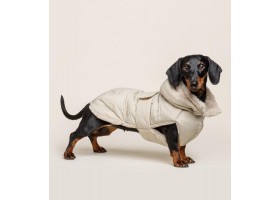 Beige Feather Dog Coat