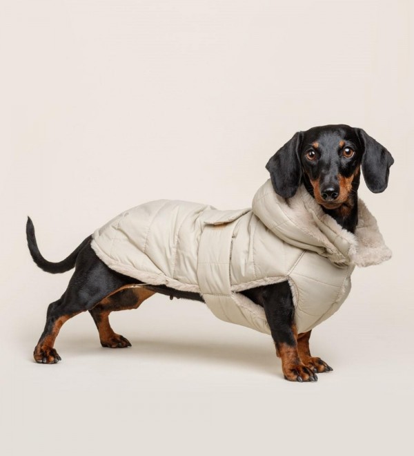 Beige Feather Dog Coat