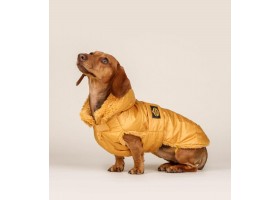 Mustard Feather Dog Coat