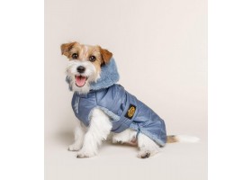 Blue Feathers Dog Coat