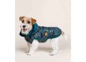 Green Feathers Dog Coat