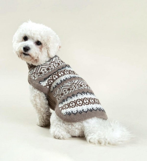 Jersey para perro Echoes