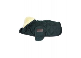 Original Green Dog Coat