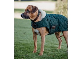 Original Green Dog Coat