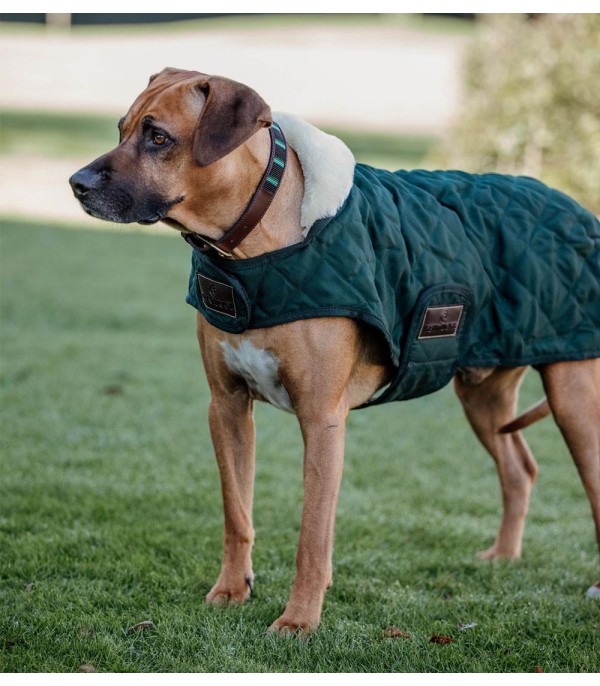 Original Green Dog Coat