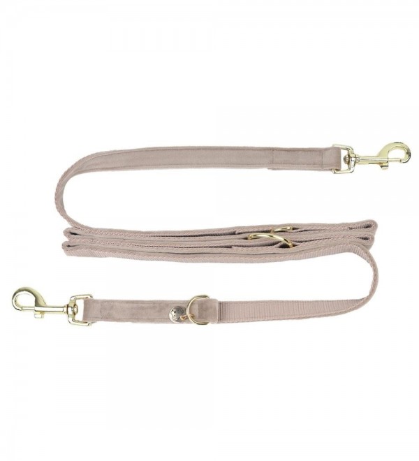 Multiposition Beige Dog Leash