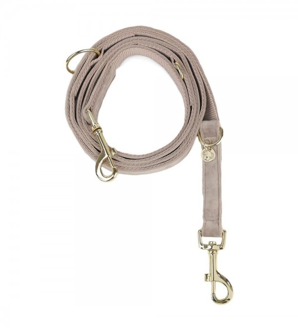 Multiposition Beige Dog Leash