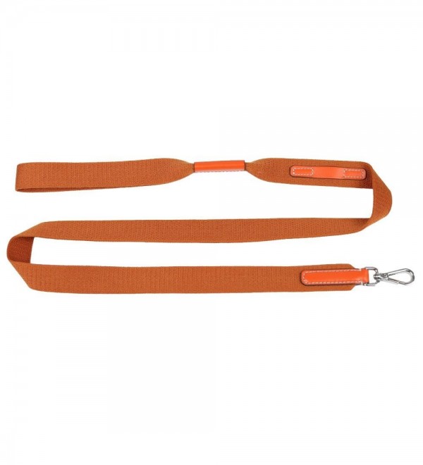 Orange Textile Dog Leash