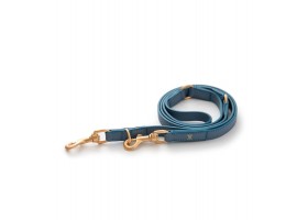 Multiposition Dog Mario Blue Leash