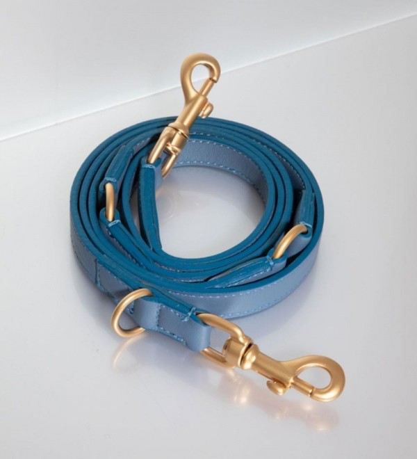 Leash Multiposición Perro Mario Azul