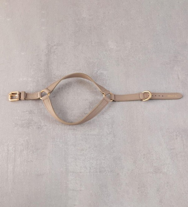 Mario Beige Dog Harness