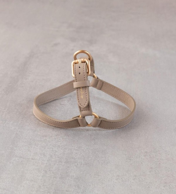 Mario Beige Dog Harness