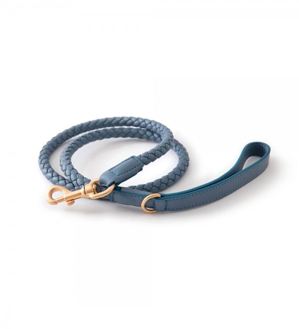 Leash Perro Ferdinando Azul