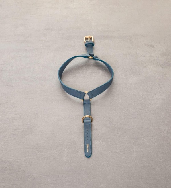 Mario Blue Dog Harness