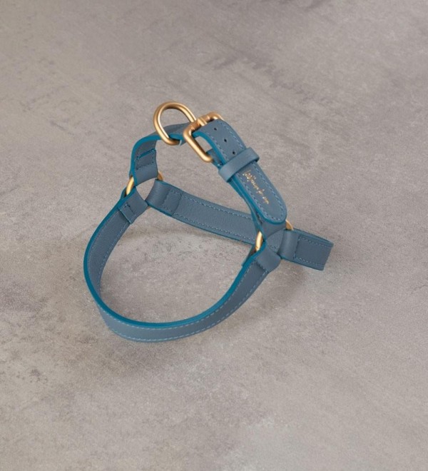 Mario Blue Dog Harness