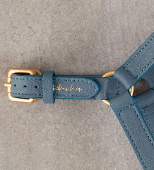 Mario Blue Dog Harness