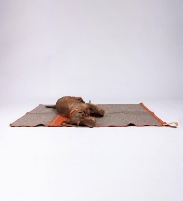 Manta Perro Ansel Naranja