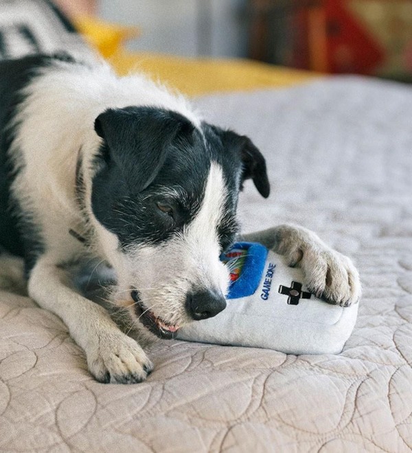 Plush Dog Game Bone