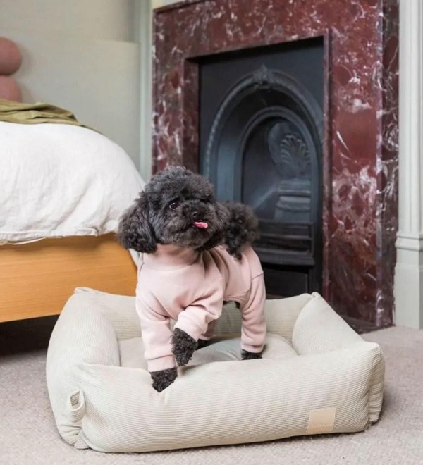 Pijama Perro Soft Touch Rosa