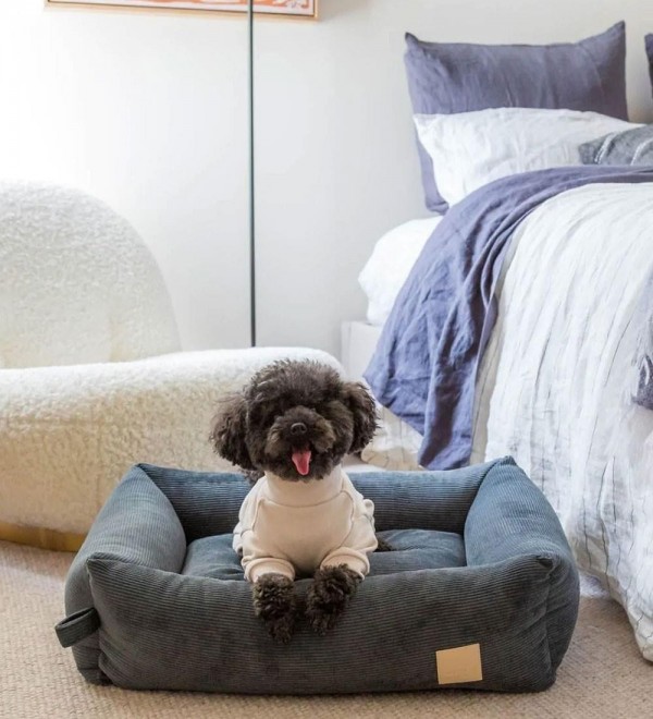 Soft Touch Beige Dog Pajamas