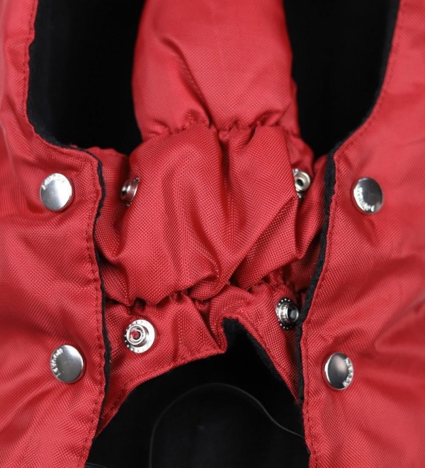 Dog Basic Red Coat
