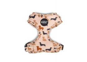 Beige Dachshund Dog Harness