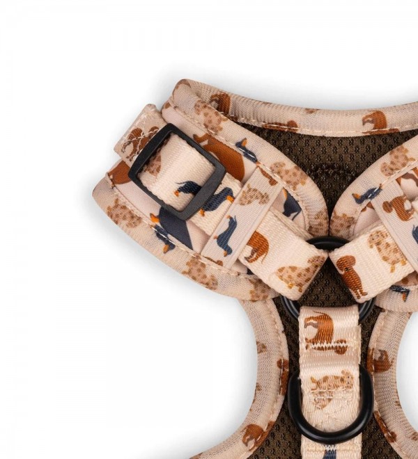 Beige Dachshund Dog Harness